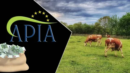 Anunțul zilei de la APIA. 276 de milioane de lei ajung în conturile fermierilor