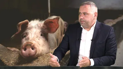 Românii vor putea vinde porci de Crăciun. Ministrul Agriculturii, Florin Barbu: „Va fi modificat acest ordin”