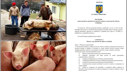 ANSVSA impune reguli majore pentru crescătorii de porci. Măsurile se impun chiar înainte de Crăciun