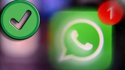 O nouă funcție WhatsApp va fi introdusă! Ce vor putea face utilizatorii direct din fereastra de chat!