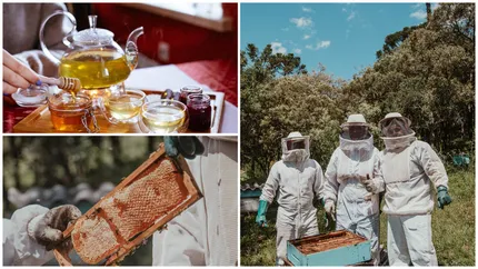 Vești bune pentru apicultorii din UE. Borcanele de miere vândute în Uniunea Europeană vor trebui etichetate clar cu ţara de origine