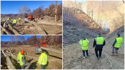Defrișări masive pentru autostrada Sibiu-Pitești. Au început lucrările pe lotul 2 lângă Câineni unde va fi construit un tunel de 1590 metri