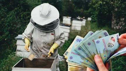 Ajutoare de stat pentru apicultori. Guvernul pregătește o schemă de sprijin de 12 milioane de euro pentru producătorii afectați de exporturile din Ucraina