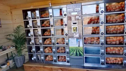 A fost deschis primul automat de cartofi din România. Un fermier l-a montat lângă casă