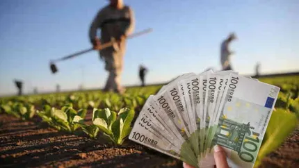 Ministerul Agriculturii a alocat peste 88 de milioane de euro pentru ajutoarele naţionale tranzitorii în sectorul vegetal. Cum s-au împărțit banii