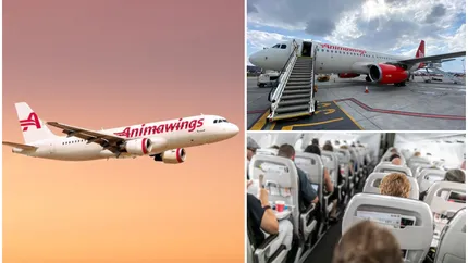 Animawings, cel mai mare rival al TAROM, lansează noi rute de zbor. Nu o să îți vină să crezi cât costă! 