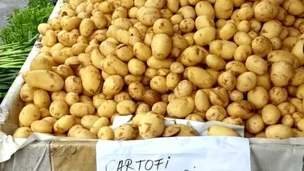Cartofii noi vânduți la preț de cireșe de mai! Cât trebuie să scoți din buzunar pentru 1KG