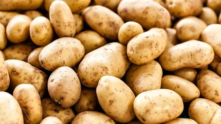 Cartofi toxici retrași de pe piață, după ce au fost puși la vânzare în supermarketuri. Aceștia conțin reziduuri de pesticide