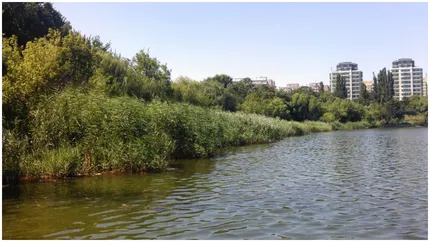 Lacurile din București, pline de bacterii periculoase. Ce boli riscă cei care se scaldă