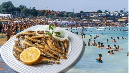 Cât costă o porție de hamsii pe litoral în 2024. Ce buget ar fi necesar pentru mâncare într-un weekend la mare