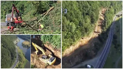Imagini din dronă de pe Valea Oltului, la 4 zile de când au început defrișările. Cum avansează lucrările