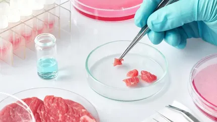 Unde și cine va consuma primul tip de carne artificială aprobată în Europa. Autoritățile sanitare sunt în alertă
