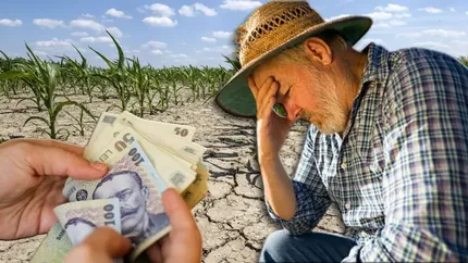 Despăgubiri pentru fermierii ale căror suprafeţe agricole au fost afectate de secetă. Ministrul Florin Barbu: Vom lua măsuri radicale, este al treilea an de secetă în România