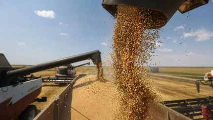Exporturile de cereale ale României au crescut cu 30% în ultimul an. Țara noastră este pe locul 2 în Europa