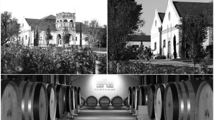 Crama Galicea – De la crama boierilor Bibescu la casa de licitații. Povestea vinului care a cucerit de la România interbelică la anii 2000
