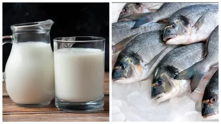 România va exporta lapte şi peşte în China. Noi oportunităţi pentru producătorii locali