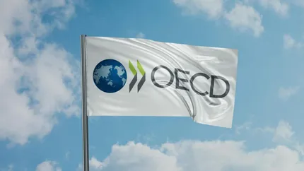 OCDE recomandă României creșterea impozitelor pe proprietăți pentru reducerea deficitului bugetar