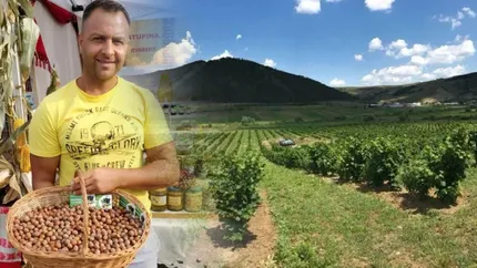 Un agricultor din Alba a dat lovitura cu o plantaţie rezistentă la secetă: Eu, care produc de atâţia ani, sunt şocat. Atâta rod nu am văzut în viaţa mea