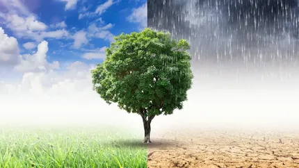 ANM anunță când se răcește vremea.  Prognoza meteo ANM pentru perioada 5-18 august, pe regiuni