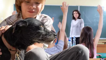 Învățământul românesc se transformă! Proiectul care propune ca elevii să studieze îngrijirea animalelor ca parte din curriculum