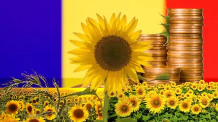 Floarea-soarelui inovatoare creată de cercetătorii români promite să impulsioneze economia națională