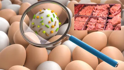 Pericol alimentar în România! Mii de ouă cu Salmonella și zeci de kilograme de carne, retrase urgent de la comercializare!