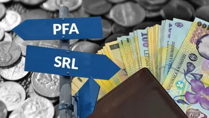 Lovitură pentru PFA-uri! Curtea Constituțională blochează legea transformării în societăți comerciale