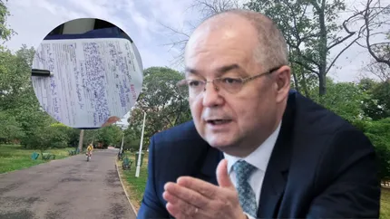 Amenzi uriașe! Interzis să faci asta copacilor. Nu există toleranță pentru astfel de practici