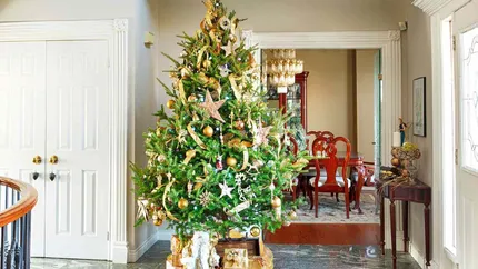 Cum să prelungești viața unui brad natural. 5 trucuri eficiente ca să nu se usuce prematur