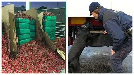Șofer român prins în Franța cu 220 de kilograme de canabis asupra lui. Câți bani a primit pentru a accepta să ascundă drogurile printre tonele de ardei
