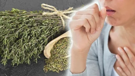 Cel mai puternic antibiotic natural. Te scapă de infecțiile respiratorii, tuse și alte afecțiuni