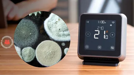 Temperatura ideală a termostatului pentru a scăpa definitiv de umezeală, mucegai și condens