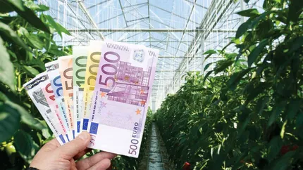 Programul „Prima Seră”. Cum poți obține 200.000 de euro de la stat pentru serele tale și ce condiții trebuie să îndeplinești