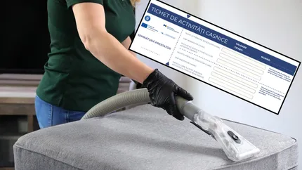 Tichete casnice 2025. Categoriile de români care pot beneficia de bani de la stat pentru muncă suplimentară