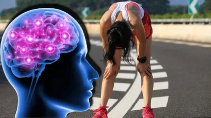STUDIU: Creierul ar putea folosi resursele ca energie în timpul exercițiilor intense. Descoperirile făcute de oamenii de știință