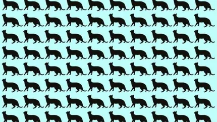 Testul IQ care te va lăsa fără cuvinte! Doar 1 din 100 de români reușește să găsească pisica ascunsă în doar 5 secunde!