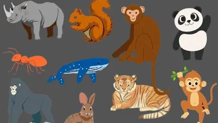 Test de logică pe care doar geniile îl pot rezolva în 33 de secunde. Care animal este diferit de toate celelalte?