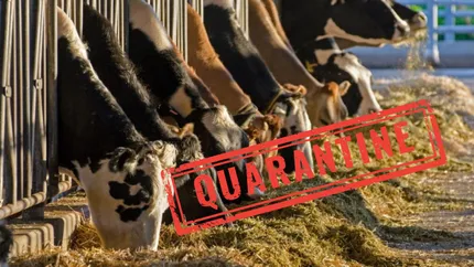 De azi, totul se schimbă! Carantină dură anunțată oficial: Până la 30 de zile!