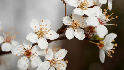 Prognoza meteo 22 aprilie. Temperaturi de vară în următoarele zile. Când se răcește vremea