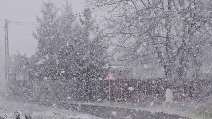 Ninsorile și viscolul au revenit în România. Cât va mai ține vremea rece / PROGNOZA METEO ACTUALIZATĂ