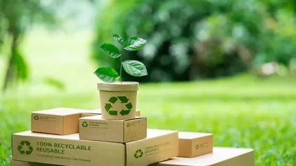 Ghidul complet al produselor biodegradabile și compostabile pentru evenimente zero waste