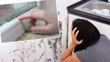 Șase soluții naturale să scapi de mirosul de aer închis din casă. Acționează rapid și sunt ieftine