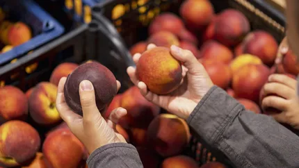 Nu este o glumă! Cât a ajuns să coste kilogramul de caise la Kaufland. Prețurile au luat-o razna