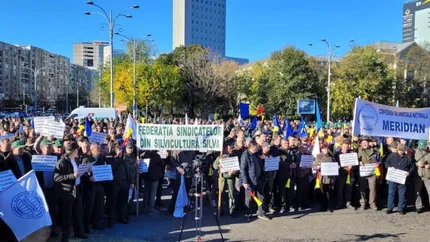 Sindicatele declanșează un protest masiv împotriva reformei controversate a Romsilva