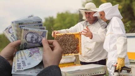 Sprijin pentru apicultori. Fonduri nerambursabile prin PNS, până la 31 iulie