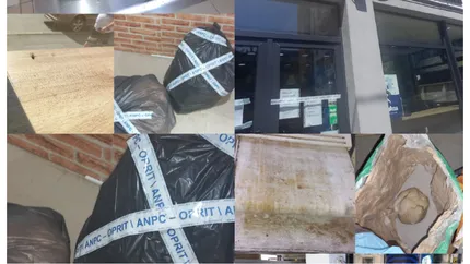 Brutărie din București, închisă de ANPC. Oamenii lui Cristian Popescu Piedone au găsit gândaci morți, insecte și mucegai