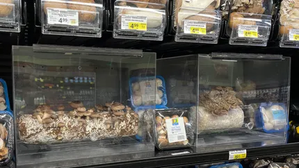 Delicatesa românească pe care românii se bat în afară. Kilogramul a ajuns să se vândă cu 600 de lei