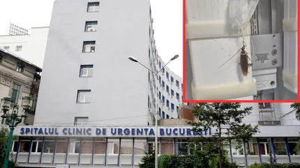 Imagini revoltătoare: gândaci surprinși în saloanele pacienților, la Spitalul Floreasca din București. Reacția ministrului Sănătății