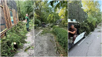 Dezastru la Grădina Zoologică București după furtuna de joi. Accesul vizitatorilor interzis pentru trei zile