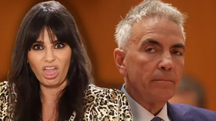 Dana Budeanu dă de pământ cu viceprim-ministrul Dragoș Anastasiu și cu purtătoarea de cuvânt a Guvernului: Această săgeată a purității
